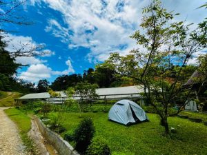 Father‘s Organic Farm -  Malaysia Camping Place Photo