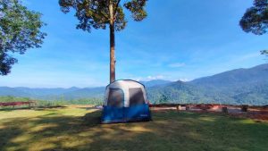 Willow Tree Campsite -  Malaysia Camping Place Photo