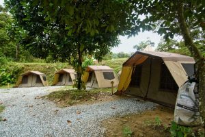 Go Glamping - Malaysia Camping Place Photo