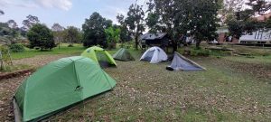 Paku Pakis Farmstay | Malaysia Camping photo 