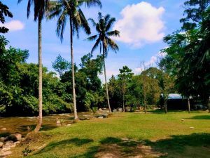 Gopeng-Tree-Tent | Malaysia Camping photo 