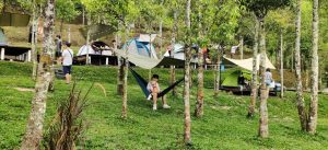 Wabi-sabi campsite | Malaysia Camping photo 