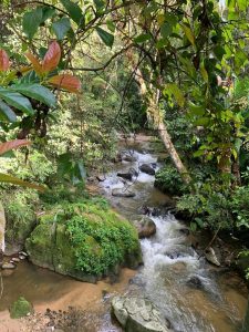 Parit Falls Campsite Cameron Highlands | Malaysia Camping photo 